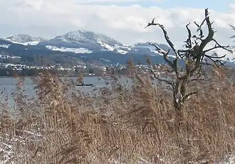 Der Bachtel über den Pfäffikersee gesehen