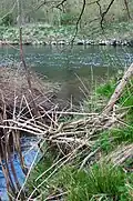 Abfluss in die Ruhr