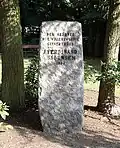 Björnsenstein