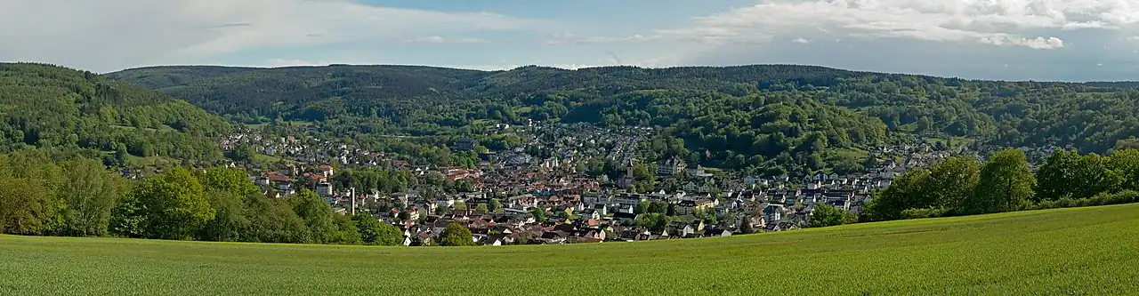 Blick über die Stadt vom Salmünsterer Berg