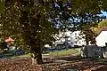 Bad Schauenburg unter dem Kastanienbaum Okt. 2018