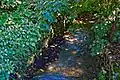 Von der Fußgängerbrücke nördlich der Rollettgasse, im Nahbereich der ehemaligen (abgebrochenen) Gutenbrunner bzw. Post- bzw. Schlossmühle.[9] (Blick in Fließrichtung).