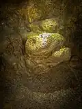 Charlottenhöhle