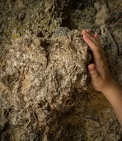 Vogelherdhöhle