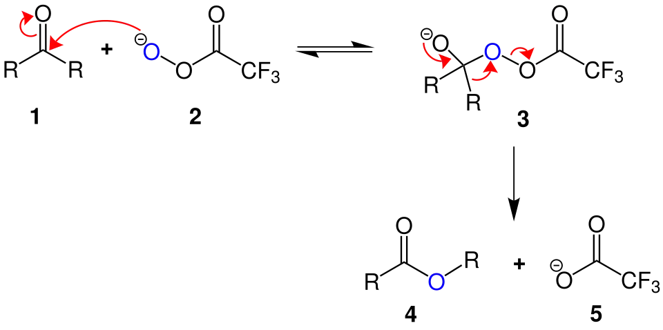Baeyer-Villiger-Oxidation Mechanismus