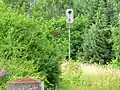 Signal in Frieda