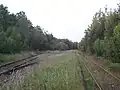 Bahnhof Teichwolframsdorf, Gleisanlagen (2016)