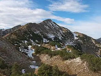 Baierkarspitze von Osten
