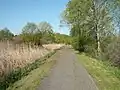 Radweg bei Gyenesdiás