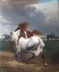 Kämpfende Pferde