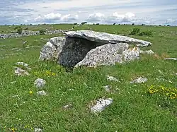 Ballymihil Wedge Tomb