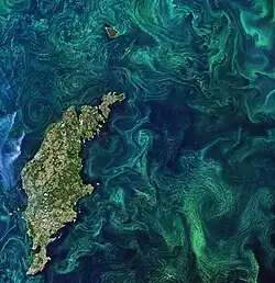 Phytoplanktonblüte nahe der Ostseeinsel Gotland im Juli 2019
