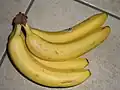 „… was den Gästen bei Hafenrundfahrten so erzählt wurde …; … dass die Bananen eigentlich gerade sind, die werden erst im Hamburger Hafen krumm gebogen.“[7]