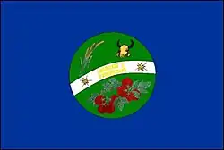 Flagge von Goianápolis unbekannt