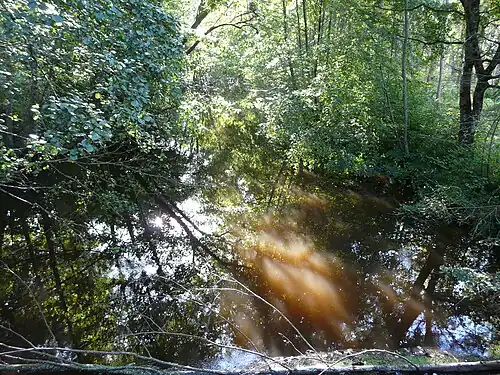 Bandiat bei Villejalet