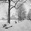 Hofgartenstraße im Schnee