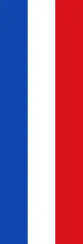 Bannerflagge ohne Wappen