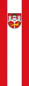 Bannerflagge