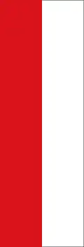 Banner ohne Wappen
