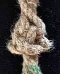 Wand- und Kronenknoten