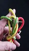 Mit dem nächsten Kardeel (grün), rechts vom ersten (gelb), fährt man ebenfalls nach rechts über das nächste Kardeel (rot), unter das gelbe Kaardel und unten durch die gelbe Schlaufe