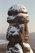 Detailaufnahme des Kopfes der Barbarine im Winter