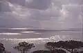 Atlantik umgeben von Pinien