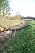 Staustufe an der Mündung des Bardelgrabens