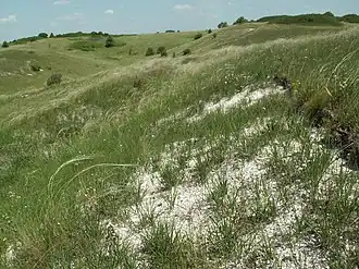 Steppe im Teilareal Barkalovka
