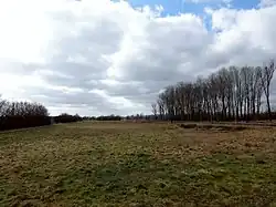 Neue Wiesen