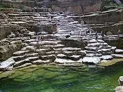 Pinguinanlage