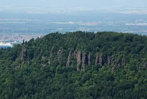 Südseite des Batterts mit Battertfelsen vor der Oberrheinebene