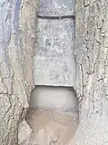 Eine Baumhöhle. Das Innere wurde ausgemauert.