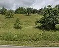 Baumwiese am Semmlerberg von unten