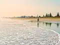 Strandläufer (Blick nach Südosten)