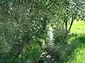 Hasselbach