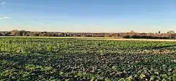 Stadt Beckum in der Beckumer Mulde, Blick von Südosten