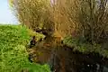 Der Beeckbach in der Natur