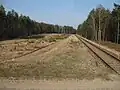Bahngleis bei Beerenbusch