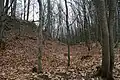 Blick in den Halsgraben von Südwesten.