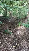 Beginn des Raakmoorgrabens