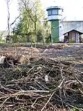 Teil-Entwaldung für Schutzarbeiten in der Grünanlage vom Pflegewohnstift Franz-Guizetti-Park hinter der JVA Celle, Blick in Richtung Schwicheldtstraße nahe dem Zusammenfluss der beiden Allerarme