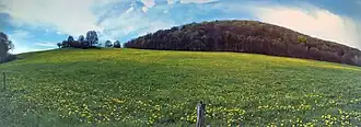 Willinger Berg (von Behringen aus gesehen; Mai 2021)