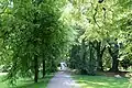 Behrpark