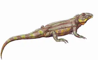 Zwei Reptilienarten mit typischem „Echsenhabitus“, die mit den Lacertiliern eher entfernt verwandt sind. Links: Nilkrokodil (Crocodylus niloticus). Rechts: †&nbsp;Belebey vegrandis (Lebendrekonstruktion), ein Vertreter der Parareptilien aus dem Perm von Russland.