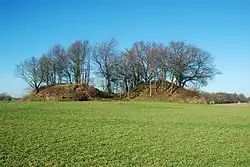 Tumuli de Noirmont
