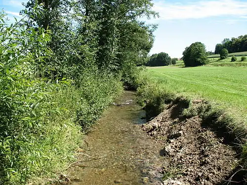 Bei Ochsenhausen