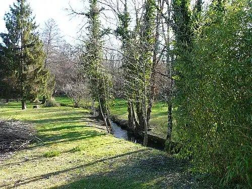 Die Belle hinter Beauséjour