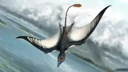 Zeichnung eines lebenden Bellubrunnus im Flug