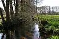 Belmer Bach bei Belm